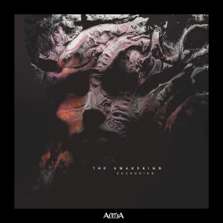 The Awakening