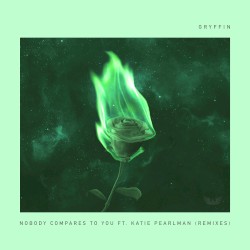 Nobody Compares To You (remixes)
