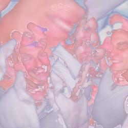 Leeches