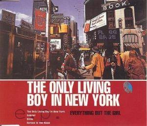 The Only Living Boy in New York