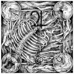 Aphotic