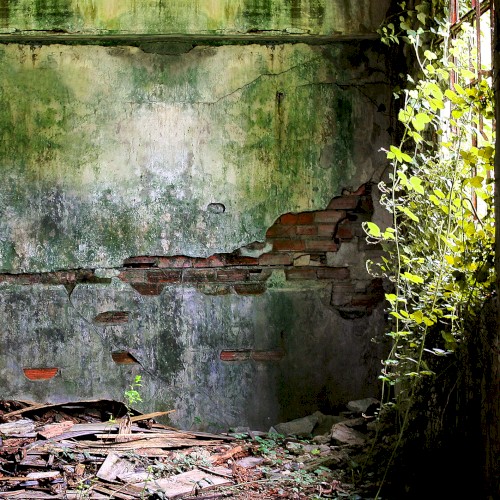 Dwelling Spells