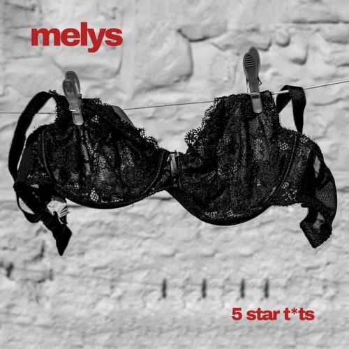 5 Star T*ts / Bruises