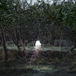 Escapements Remixes