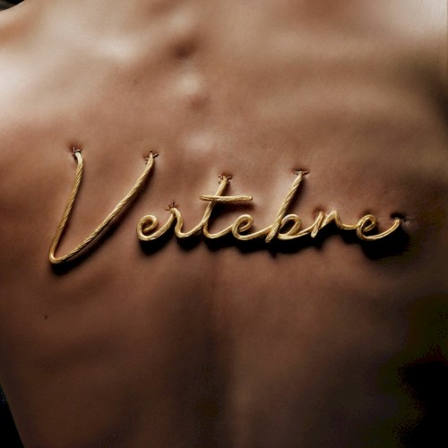 Vertebre