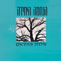הנחמה היחידה