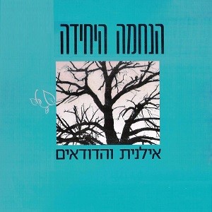 הנחמה היחידה