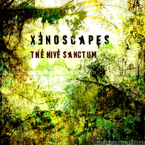 The Hive Sanctum
