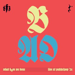 What Have We Done (Live at Pukkelpop)