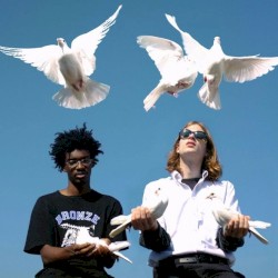 Birds Fly by Night