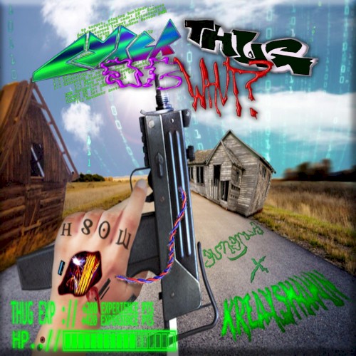CYBER THUG OR WHUT?