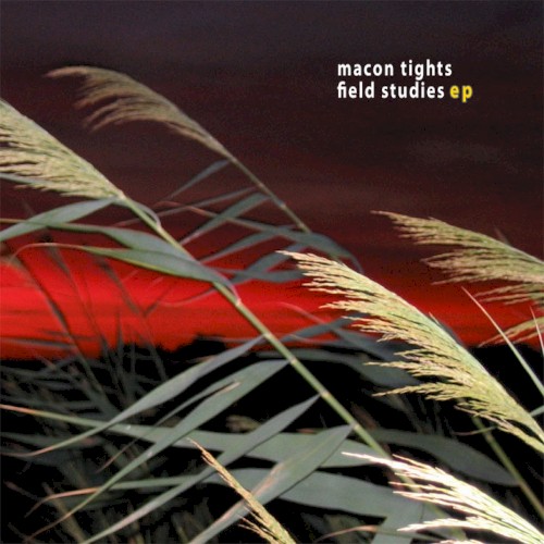 Field Studies EP