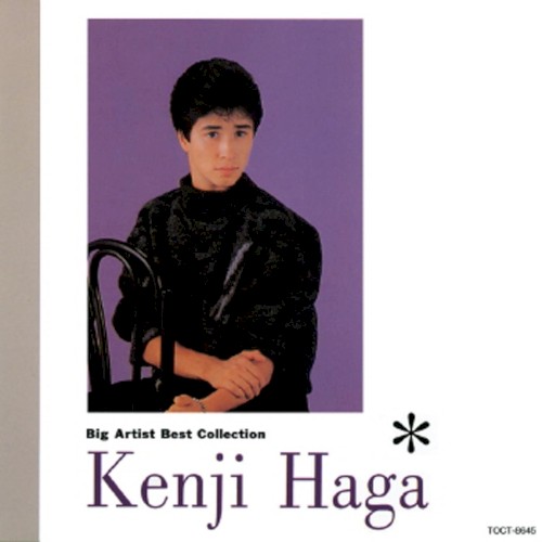 Big Artist Best Collection 羽賀健二