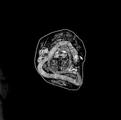 To Those Undead Spirits... from My Ruinous Journeys