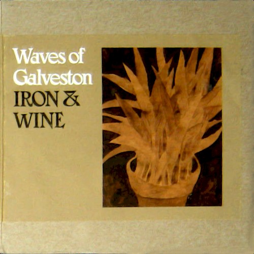 Waves of Galveston