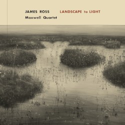 Landscape to Light