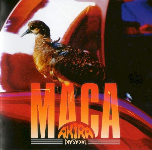 MACA