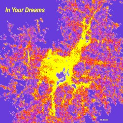 In Your Dreams