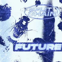 Future