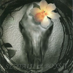Seo Taiji and Boys IV