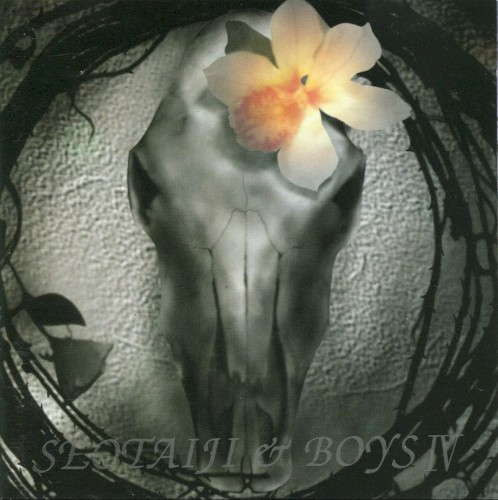 Seo Taiji and Boys IV