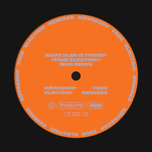 What Else Is There? (Wh0 remix)