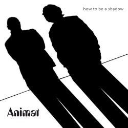 How to be a Shadow