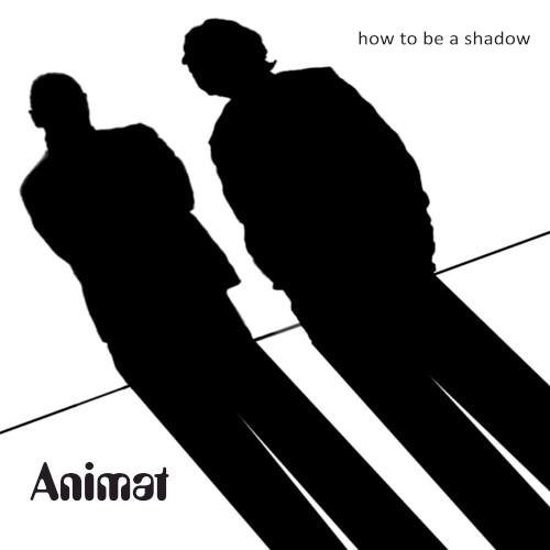 How to be a Shadow