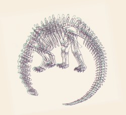 Brontosaurus