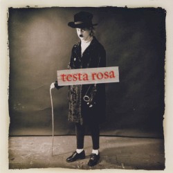 Testa Rosa