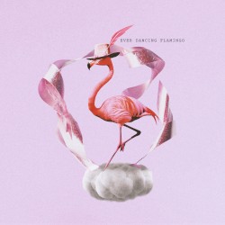 EVER DANCING FLAMINGO