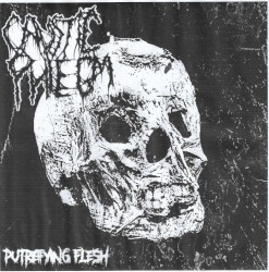 Putrefying Flesh