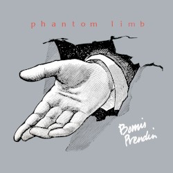 Phantom Limb