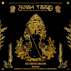 Recurring Dreams (remixed)