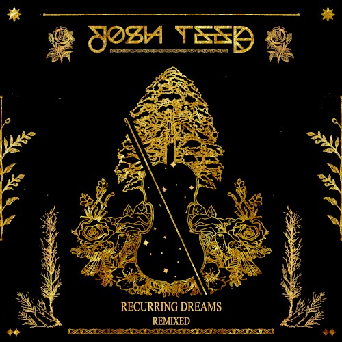 Recurring Dreams (remixed)