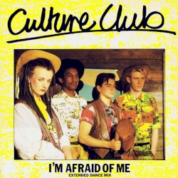 I'm Afraid of Me