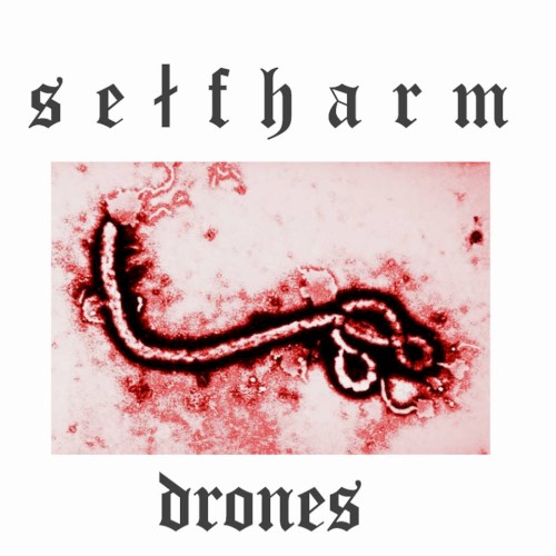 Drones