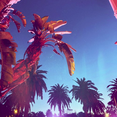 High Summer