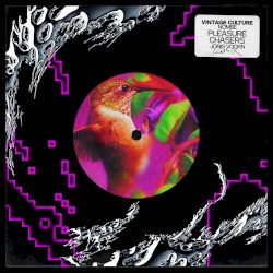 Pleasure Chasers (Joris Voorn remix)