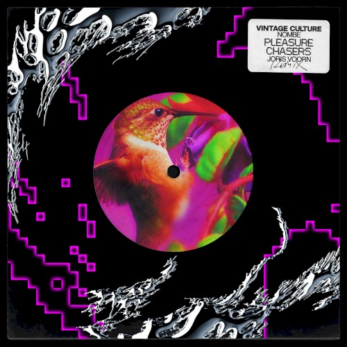 Pleasure Chasers (Joris Voorn remix)