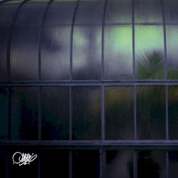 Opaque