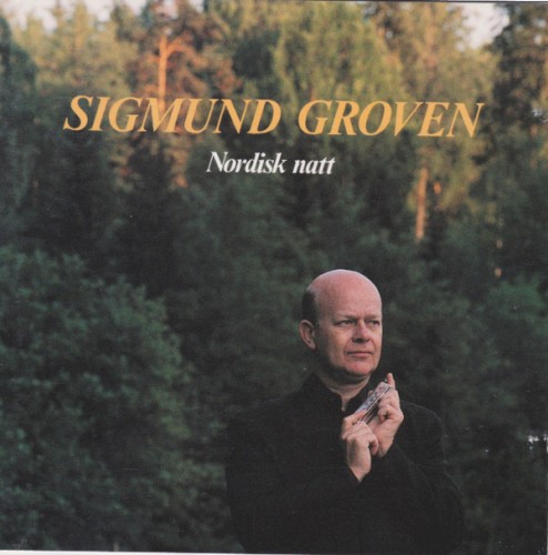 Nordisk natt