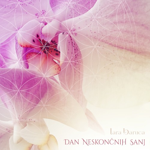 Dan neskončnih sanj