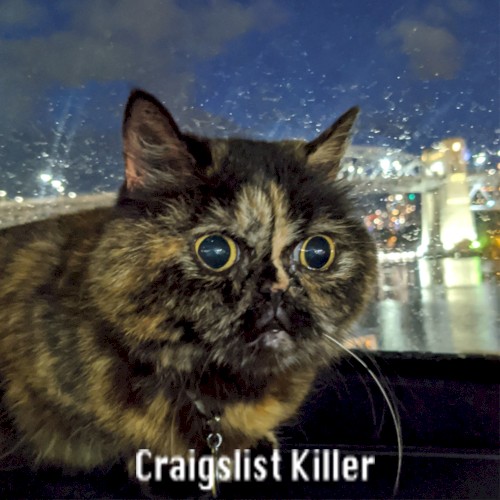 Craigslist Killer