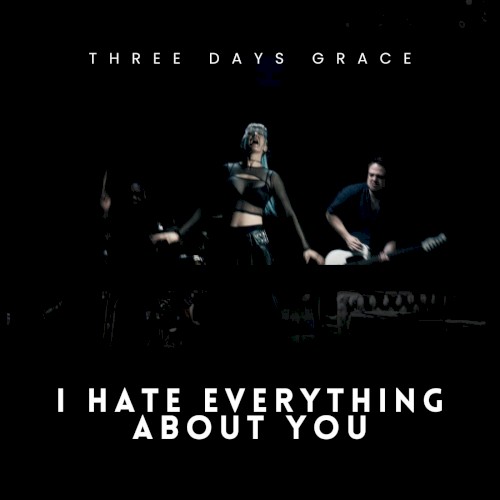 I Hate Everything About You
