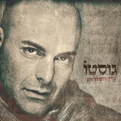 בין השורות