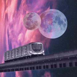 Metro/Docks