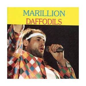 Daffodils