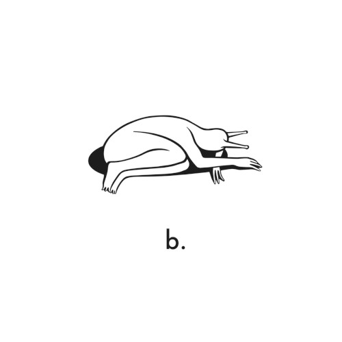 b.