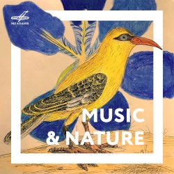 Music & Nature